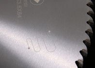 Benutzerdefinierte 450 mm Tabelle oszillierende TCT Kreissäge Blade Anspitzer
